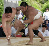 MatsutaniCollege