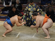 MitoryuHoshoryu