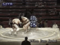 Musashifuji's Fighting Style