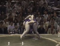 Owakamatsu's Fighting Style