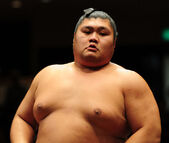 Wakakoyu(2008)