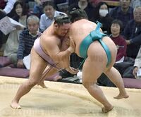 Kotoeko pushes out and defeats Meisei (c. 2016)