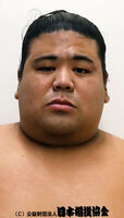 Kayo Yasutoki - 2024 (Retrieved from the JSA)