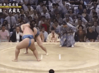 Musashimaru's Fighting Style