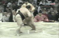 Chiyotenzan's Fighting Style