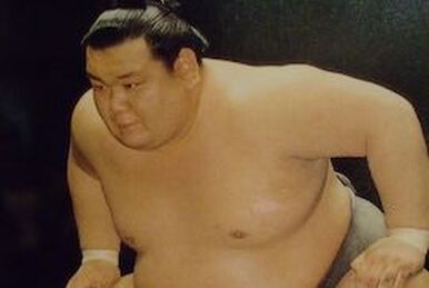 Asahiryu Katsuhiro, Sumowrestling Wiki