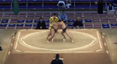 Daionami's Fighting Style