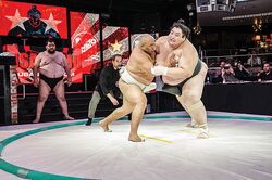 Sumo Wrestling, Yamamotoyama Ryūta a.k.a. Yama. He is the h…