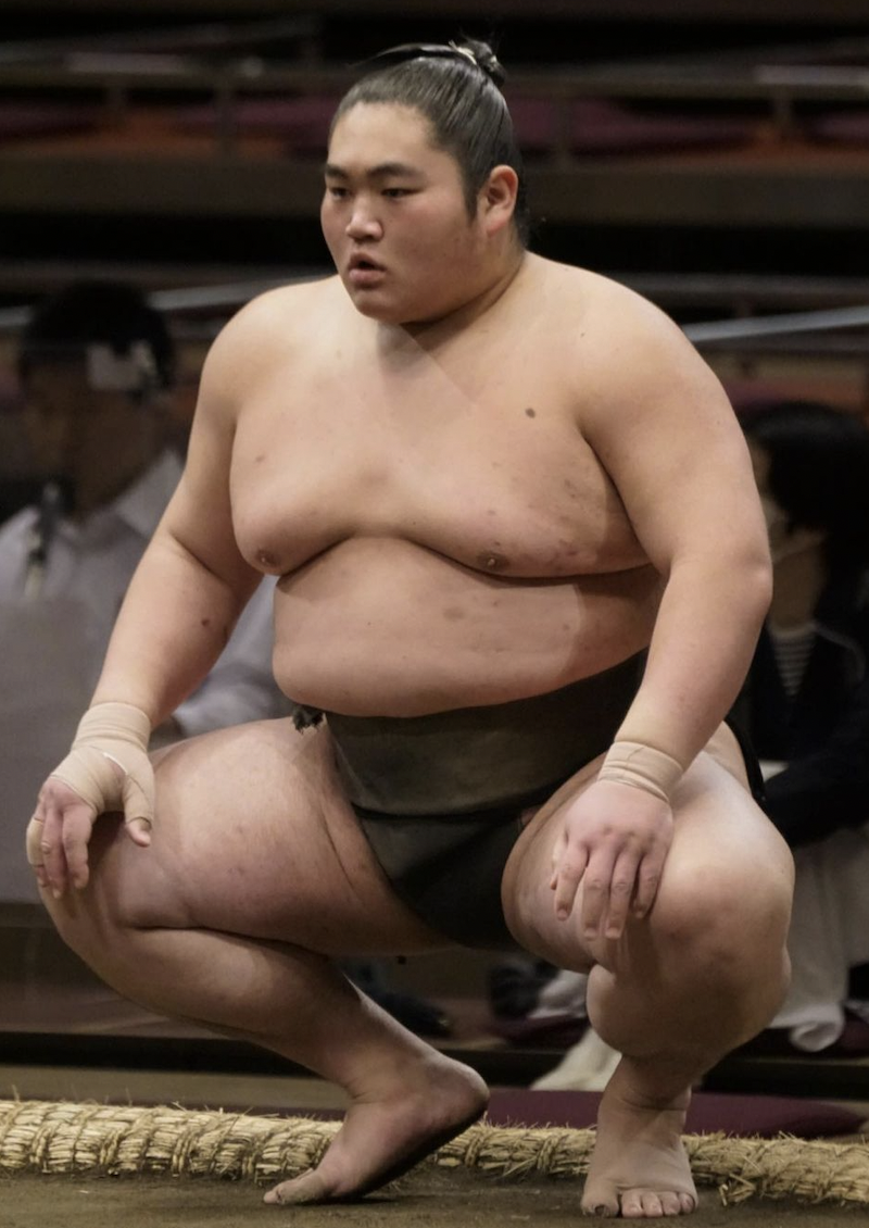 Your Ultimate Guide to a Grand Sumo Tournament in Japan | Japan, People  poses, Sumo wrestler