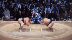 Toyohibiki's Fighting Style 2