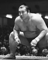 Zaonishiki prepares for his upcoming match