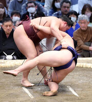 Nishikifuji throws and defeats Hiradoumi (c. 2023)