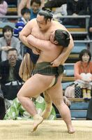 Nishikigi ensures promotion to Juryo (c. 2015)