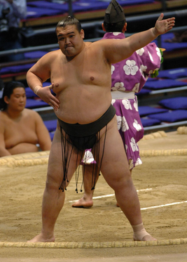 TooyamaMain2