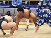 WakaichiroMaezumo