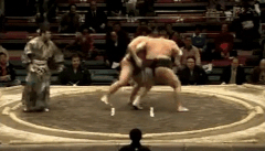 Daishoumi's FIghting Style