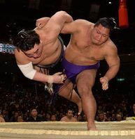 Shohozan defeats Yokozuna Harumafuji (c. 2016)