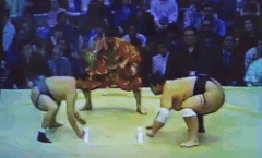 Amamifuji's Fighting Style