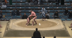 Baraki's Fighting Style