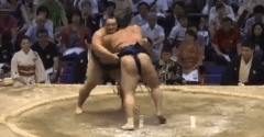 Horyuyama's Fighting Style