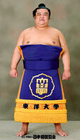 Kimurayama Mamoru - 2012 (Retrieved from the JSA)