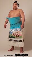 Nishikigi Tetsuya - 2017 (Retrieved from the JSA)