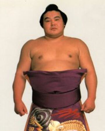 aryu Shoji Sumowrestling Wiki Fandom