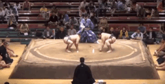 Takatoshi's Fighting Style