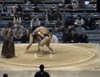 Buseizan's Fighting Style