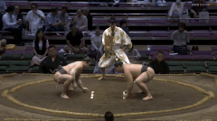 Sazanami's Fighting Style 2