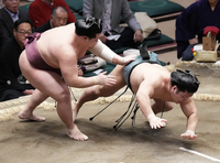 Nishikifuji defeats Asakoryu (c. 2024)