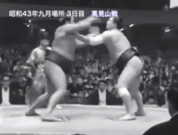 Taiho's Fighting Style