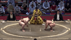 Tsurugisho's Fighting Style 2