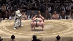 Kirinowaka's Fighting Style