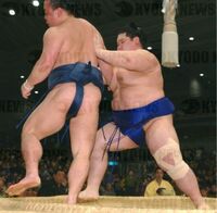 Komahikari battles Ushiomaru (c. 2003)