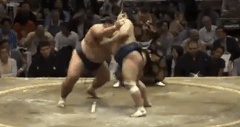 Sadanofuji's Fighting Style