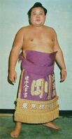 Taiga poses with his kesho-mawashi (c. 1976)