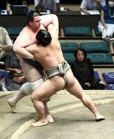 Kototebakari ensures promotion to Juryo (c. 2024)