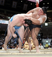 HakuohoShishi2024