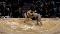 Kyokunankai's Fighting Style