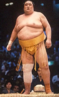 Umenosato with his gold mawashi (c. 1993)