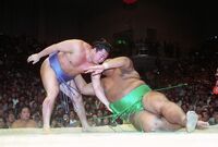 Mainoumi defeats Shikishima (c. 1994)