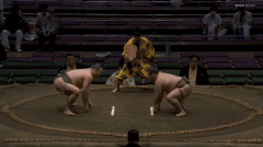 Asatenmai's Fighting Style