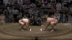 Kaisei's Fighting Style 3