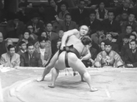 Oginohana2's Fighting Style