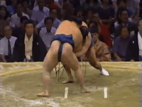 Kasugafuji's Fighting Style