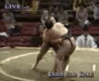 Wakainami's Fighting Style