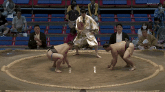Hokutenkai's Fighting Style 2