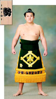 Ikioi Shota - 2012 (Retrieved from the JSA)
