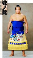 Shironoryu Yasumasa - 2011 (Retrieved from the JSA)